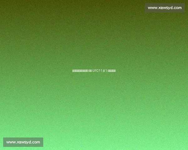 索拉地面锤击终结麦基 续写 UFC11 胜 1 平不败传奇